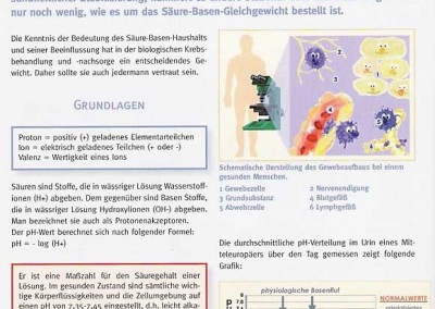 Artikel: Krebszellen mit Mantel - Grundlagen zum Säure-Basen-Haushalt im Rahmen der Biologischen Krebsbehandlung, Seite 1